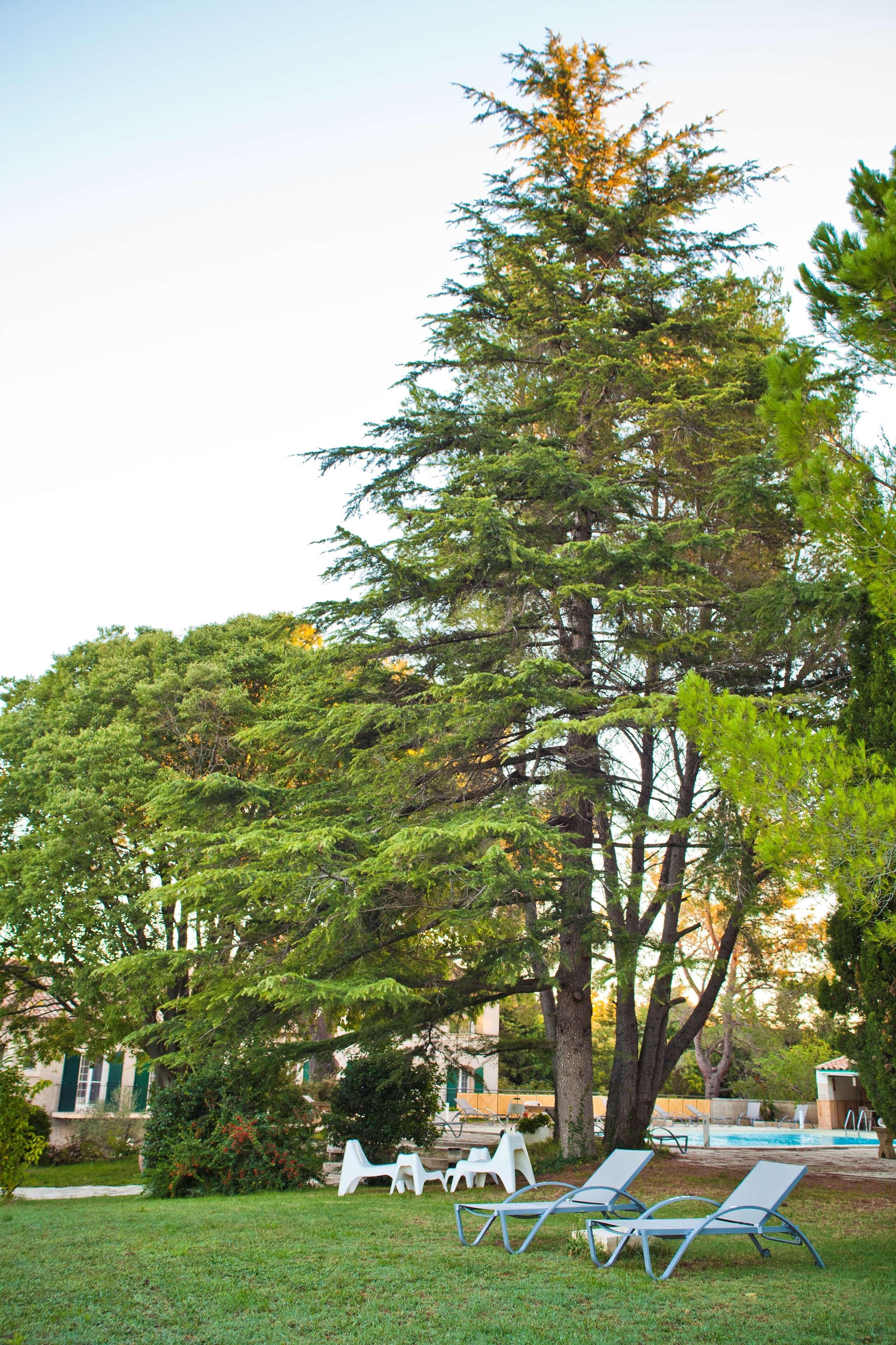 Best Western Le Val Majour Fontvieille Kültér fotó